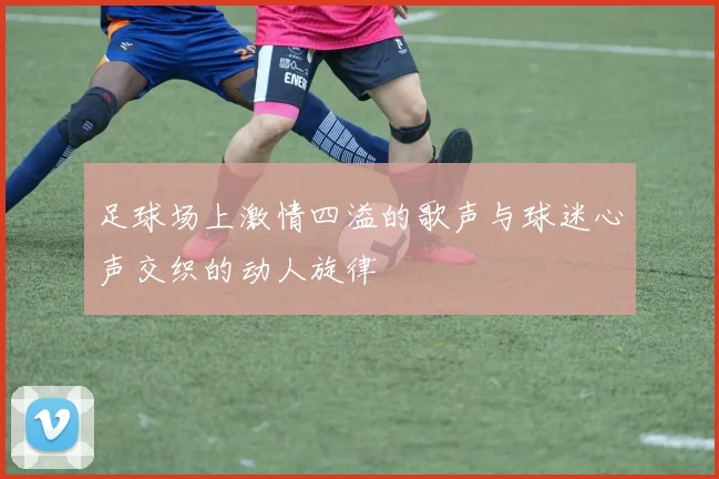 足球场上激情四溢的歌声与球迷心声交织的动人旋律