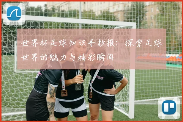 世界杯足球知识手抄报：探索足球世界的魅力与精彩瞬间
